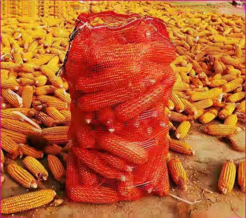 Sac en filet tissés cryptés pour le maïs, pommes de terre épaisses, ail, oignon, et autre (100 pièces ).